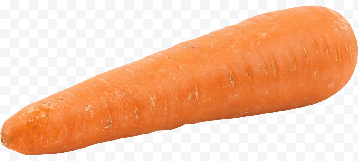 Fresh whole orange carrot on white background