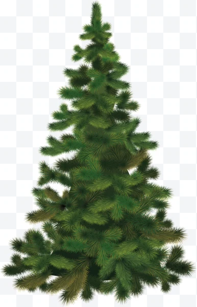 Árbol de Navidad verde sin adornos sobre fondo blanco