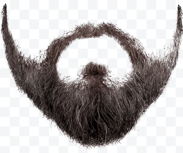 Barba