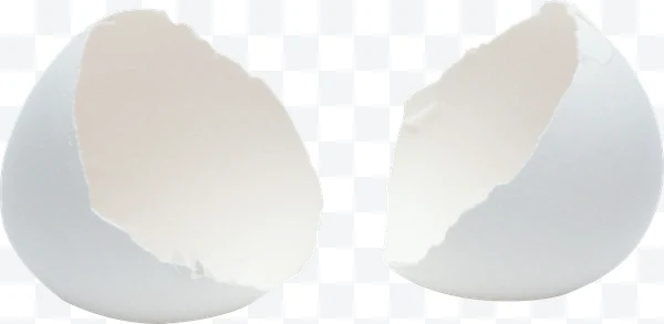 Dos mitades de una cáscara de huevo blanca rota.