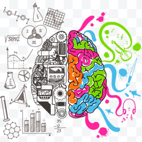 Cerebro creativo y analítico