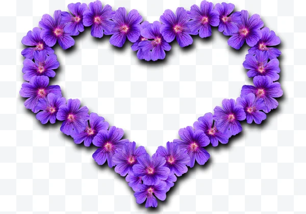 Corazón de flores moradas sobre fondo blanco.