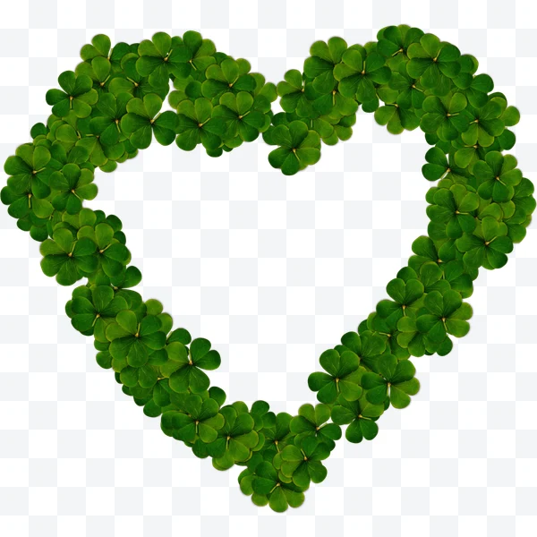 Corazón hecho con hojas de trébol verde