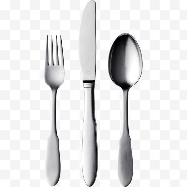 Cubiertos de acero inoxidable (tenedor, cuchillo, cuchara)