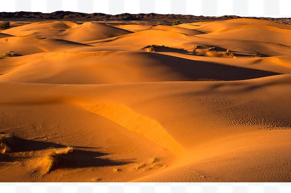 Dunas de arena en un desierto