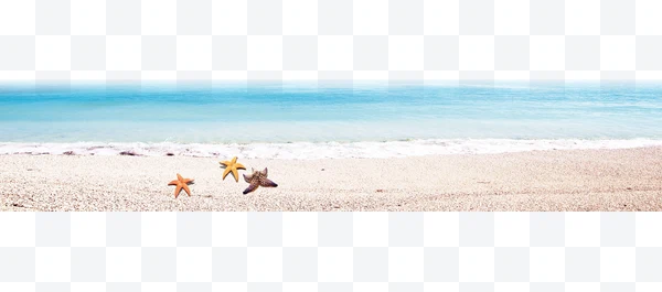 Estrella de mar