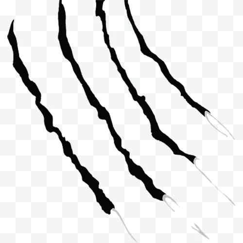 Garras de animal