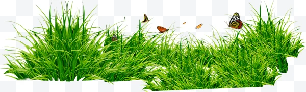 Hierba con mariposas