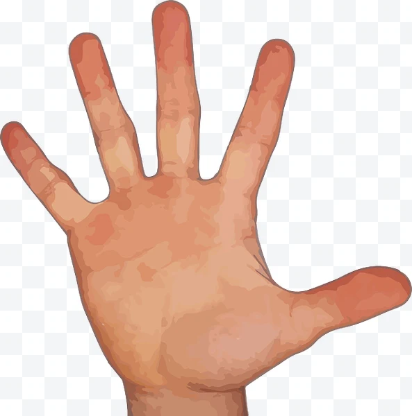 Ilustración de mano humana abierta con cinco dedos