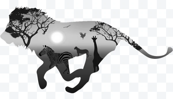 León con paisaje africano interior