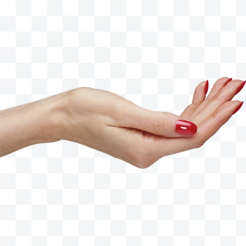 Mano femenina con uñas rojas y palma hacia arriba sobre fondo blanco.