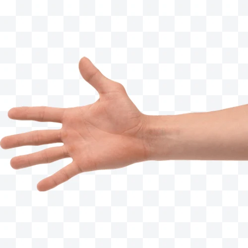Mano humana abierta