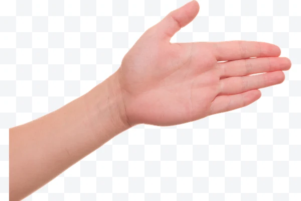 Mano humana abierta de perfil con la palma visible sobre fondo claro.