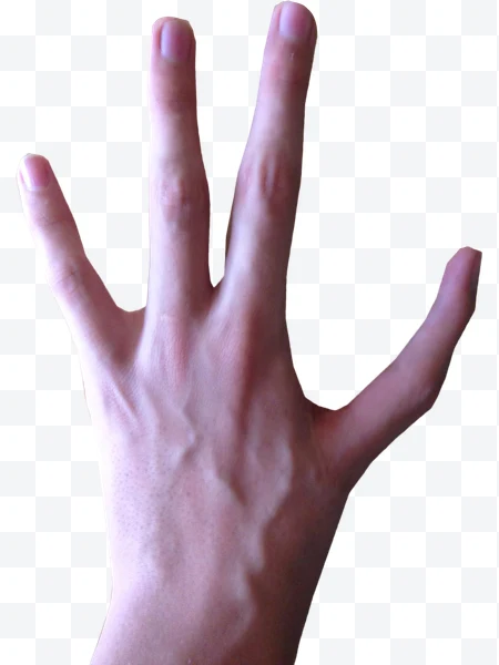 Mano humana abierta con dedos extendidos sobre fondo blanco