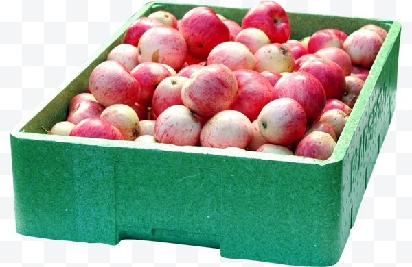 Manzanas en caja verde