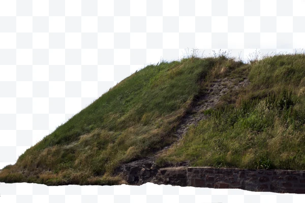 Montículo cubierto de hierba con camino de tierra