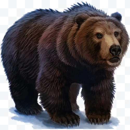 Oso pardo