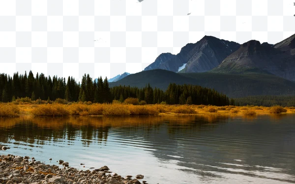Paisaje de montaña con lago, árboles de coníferas y reflejo en el agua.