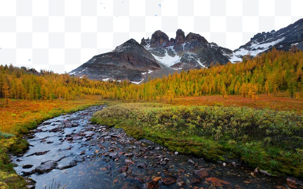 Paisaje de montaña con río y árboles otoñales