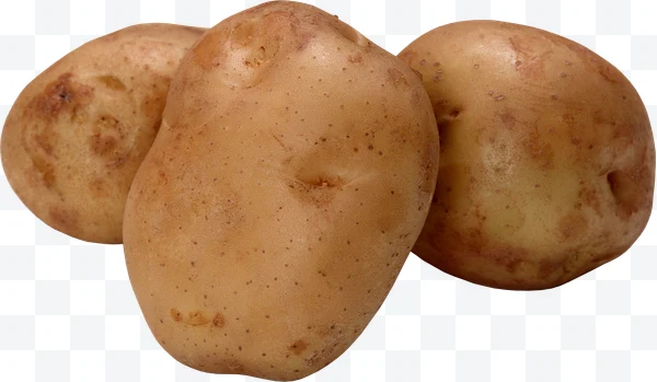 Patata