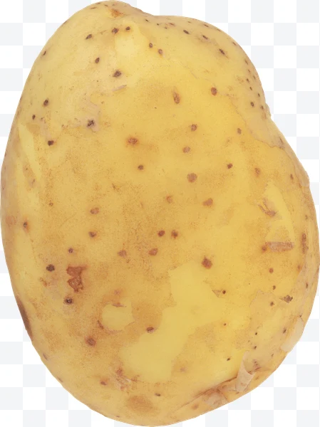 Patata sin pelar de color amarillo claro con manchas marrones sobre fondo blanco