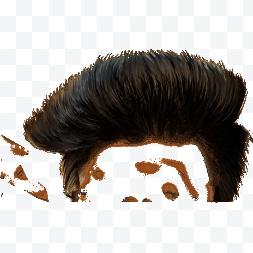 Peinado pompadour negro alto con volumen