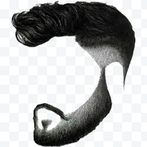 Perfil de cabello y barba estilizados