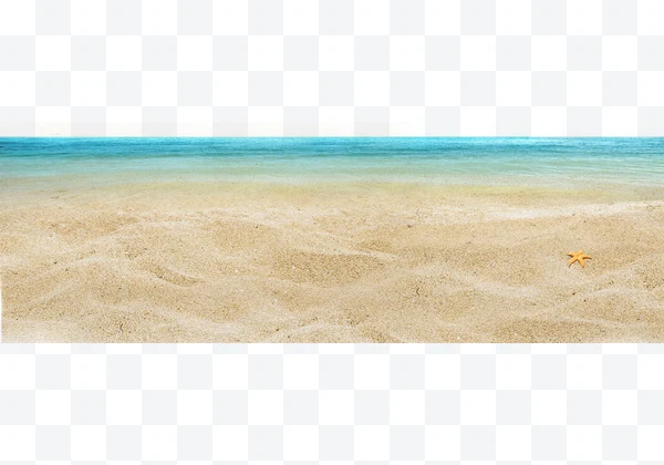 Playa con estrella de mar