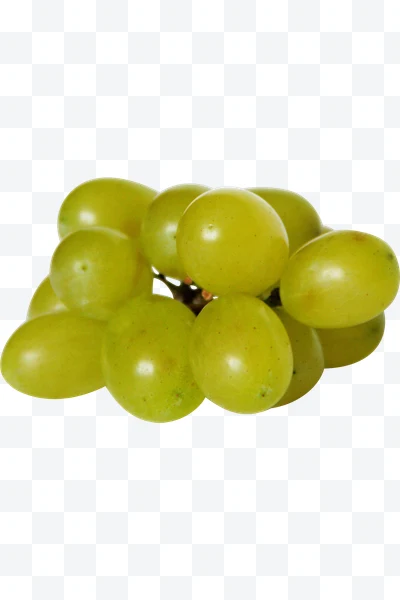 Racimo de uvas verdes frescas con fondo blanco
