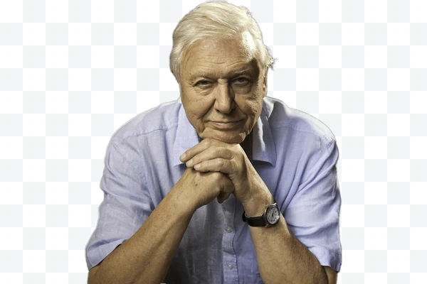 Retrato de David Attenborough