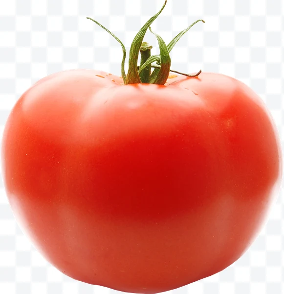 Tomate rojo con tallo verde