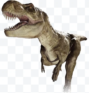Tyrannosaurus rex