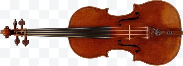 Violín