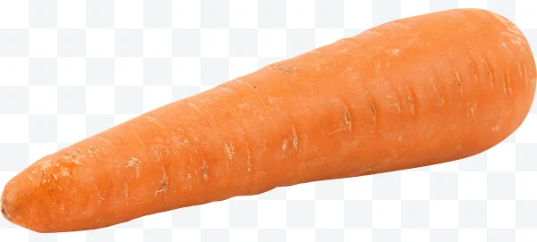 Zanahoria entera naranja fresca sobre fondo blanco